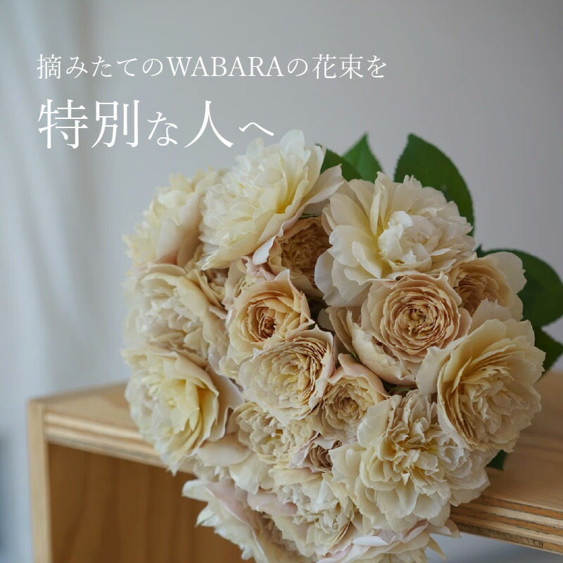 楽天市場】【ふるさと納税】わばらの花束 花束 和バラ 15本 程度 配達