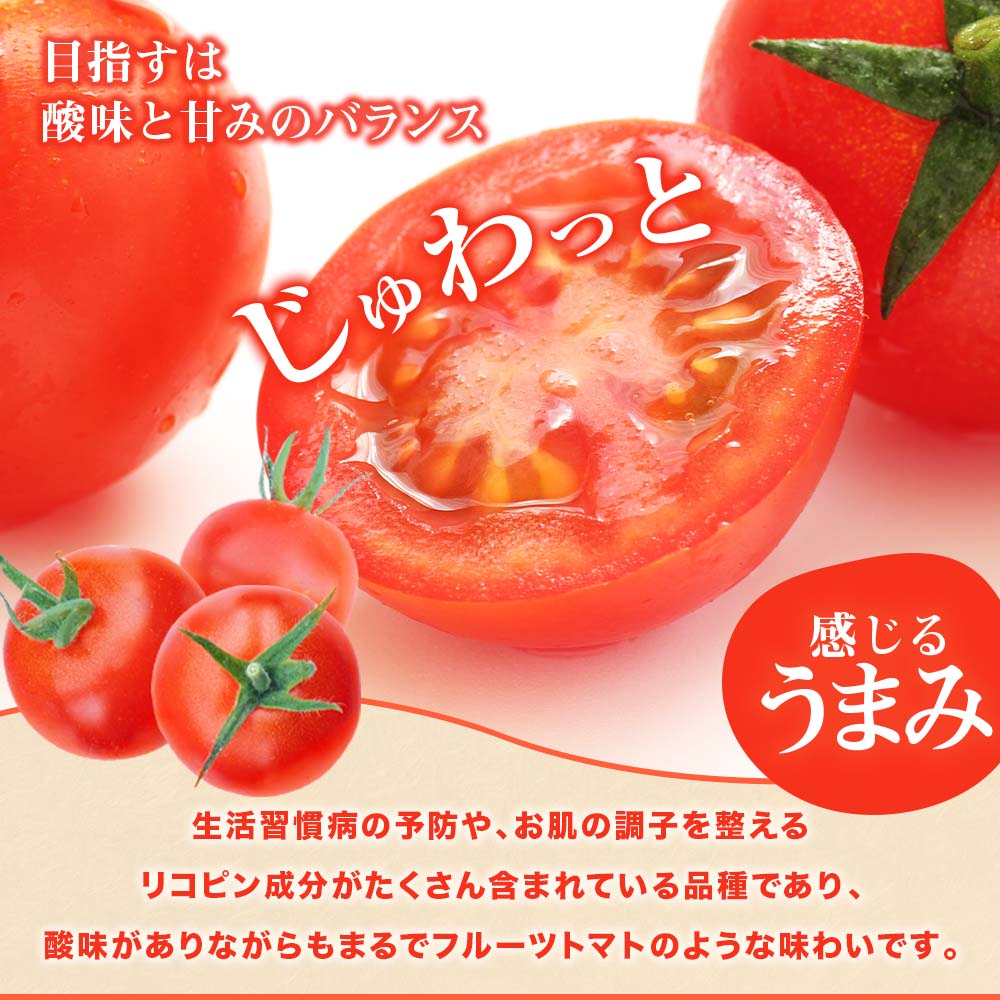 楽天市場】【ふるさと納税】トマト 国産 中玉 サイズ 選べる 1kg 2kg