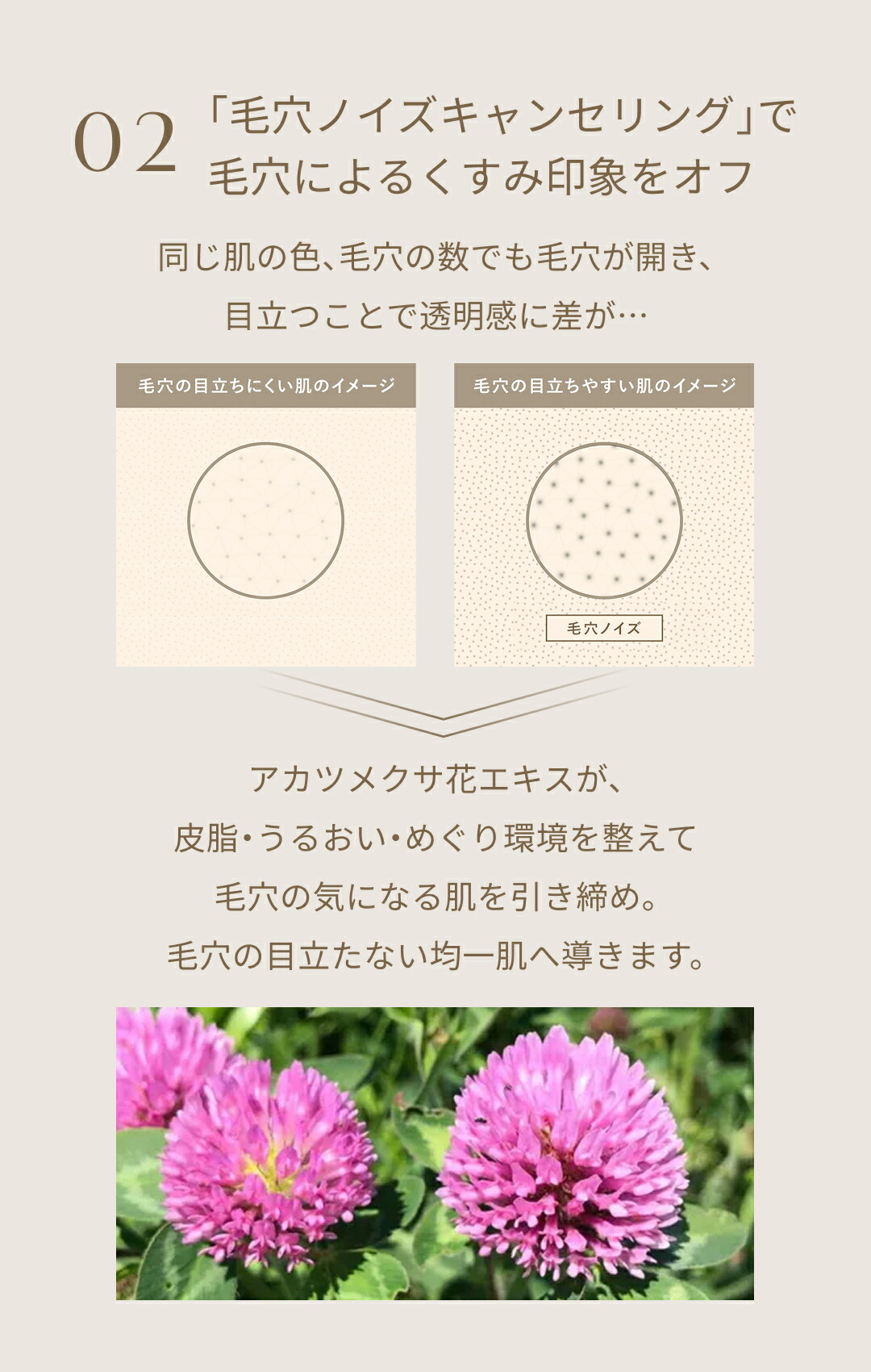 楽天市場】導入美容液 ブースター 導入エッセンス ブライテスト