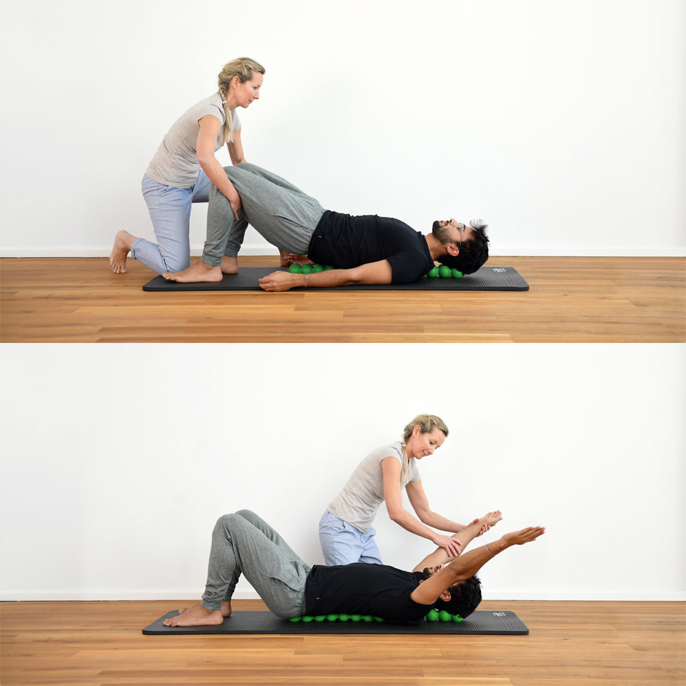 楽天市場】スパインフィッター SPINEFITTER by SISSEL [Lab Selection