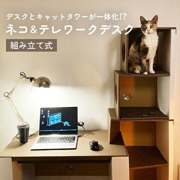 楽天市場】【2000円OFFクーポン】ネコ＆テレワークデスク 組立て式 KG