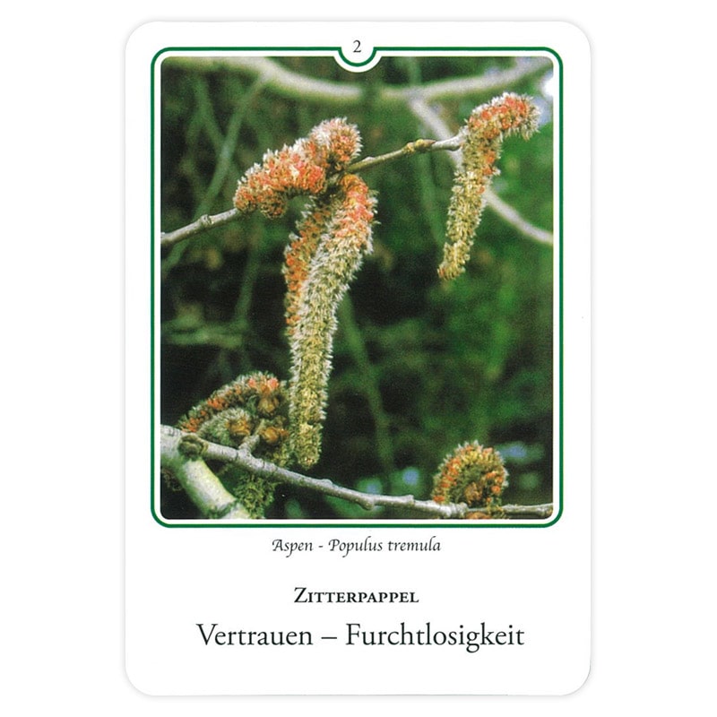 楽天市場】バッチフラワーレメディ写真カードセット(38種)ドイツ版