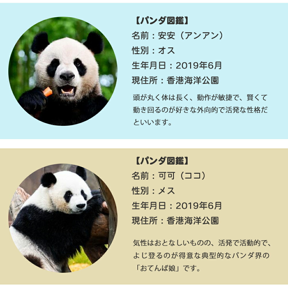 楽天市場】可愛い パンダぬいぐるみ キーホルダーぬいぐるみ 刺繍 笑顔