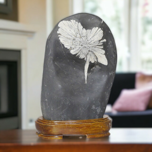 楽天市場】＼期間限定PT5倍☆28日0時〜1日23:59／ 菊花石 No.260 観賞