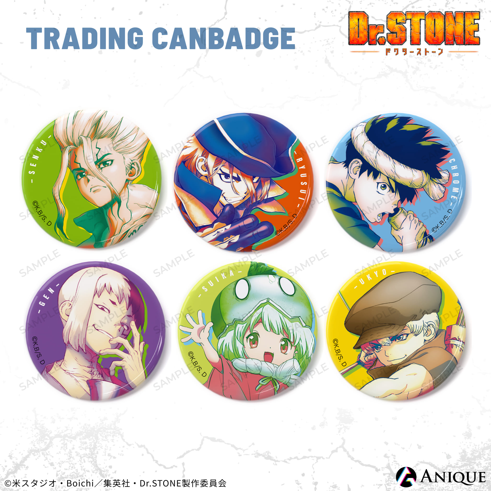 楽天市場】【完売】Dr.STONE トレーディング缶バッジ（全6種） Anique