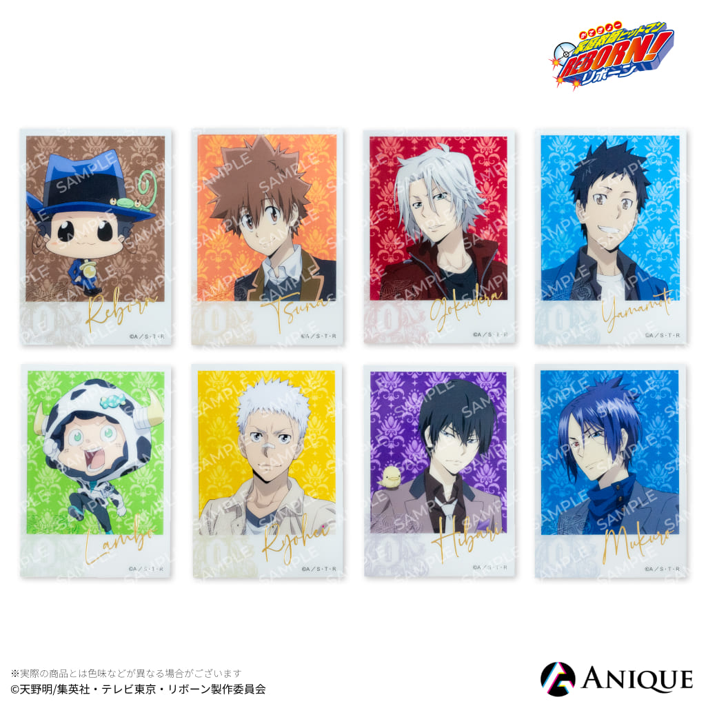 家庭教師ヒットマンREBORN! アニメイトカフェ 特典フォトカード 綱吉