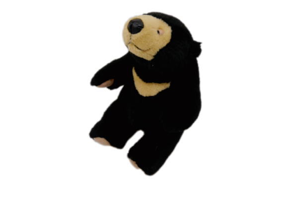 楽天市場】【ぬいぐるみ】マレーちゃん【SS】【くま】【クマ】【熊