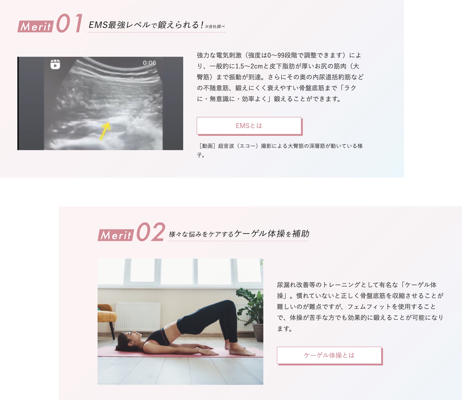 楽天市場】BODYDOCTOR femfit カンタン＆座るだけ EMS 骨盤底筋