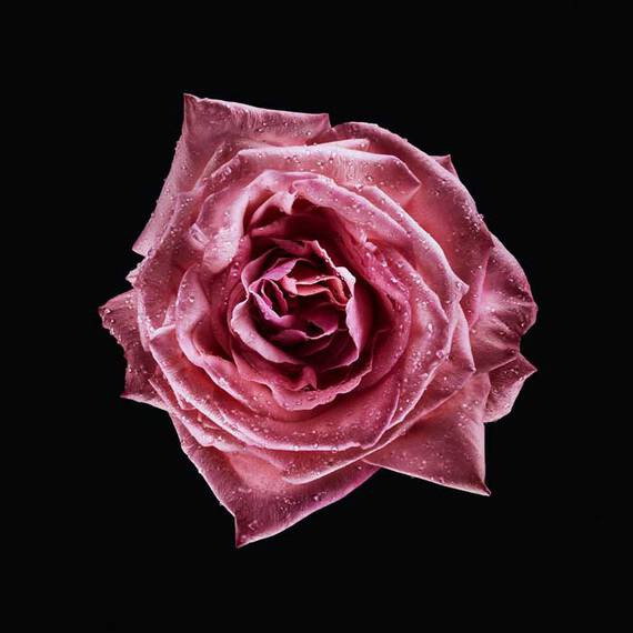 楽天市場】【公式】アルマーニ プリヴェ ローズ ミラノ | 50mL 100mL