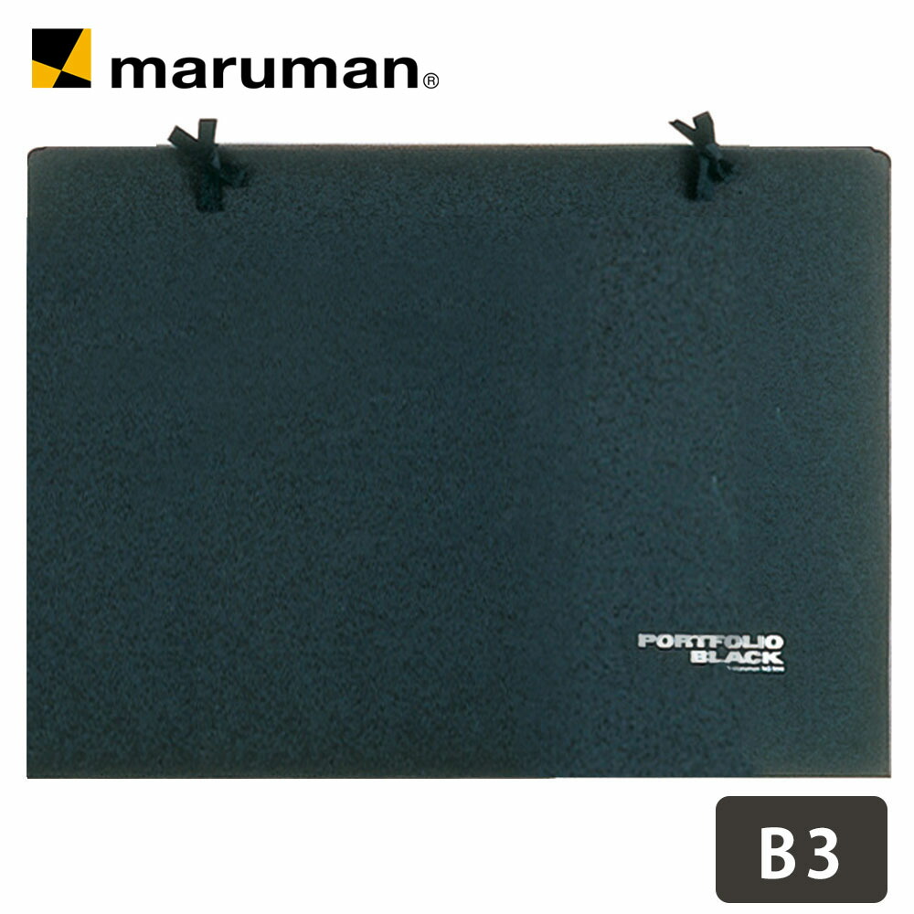 楽天市場】【公式】 画材 携帯 収納用品 ポートフォリオ ブラック B3
