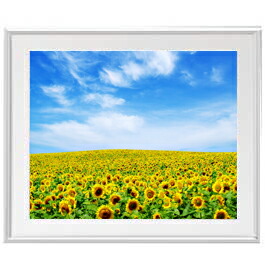 楽天市場】【油絵 直筆仕上げ】ひまわり畑 アートフレーム：色シルバー