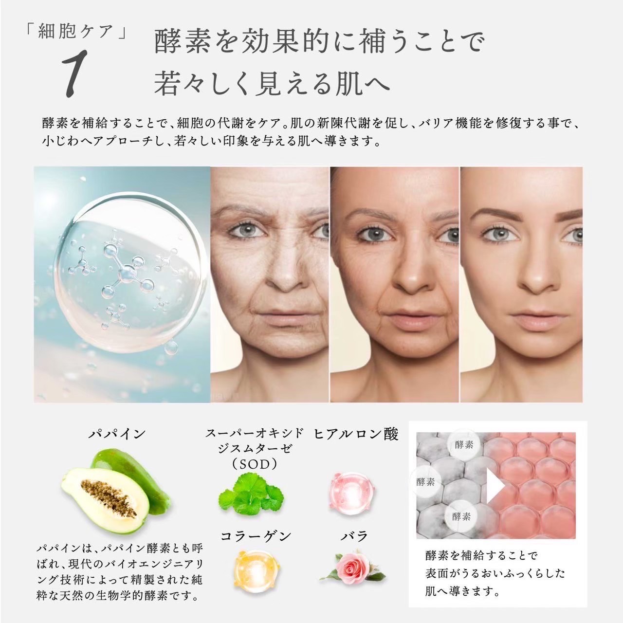 楽天市場】公式 Dr.Kozu ヴァンパイアマスク 6回分 | 美容パック