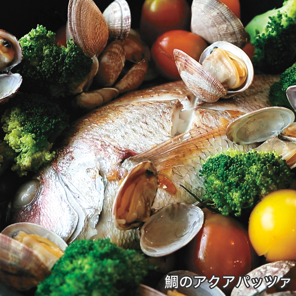 楽天市場】フライパン オールライト 24cm 次世代のフライパン IH ガス