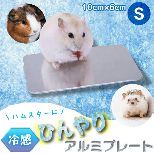 楽天市場】【楽天1位】ひんやりアルミプレート（S）10cm×6cm