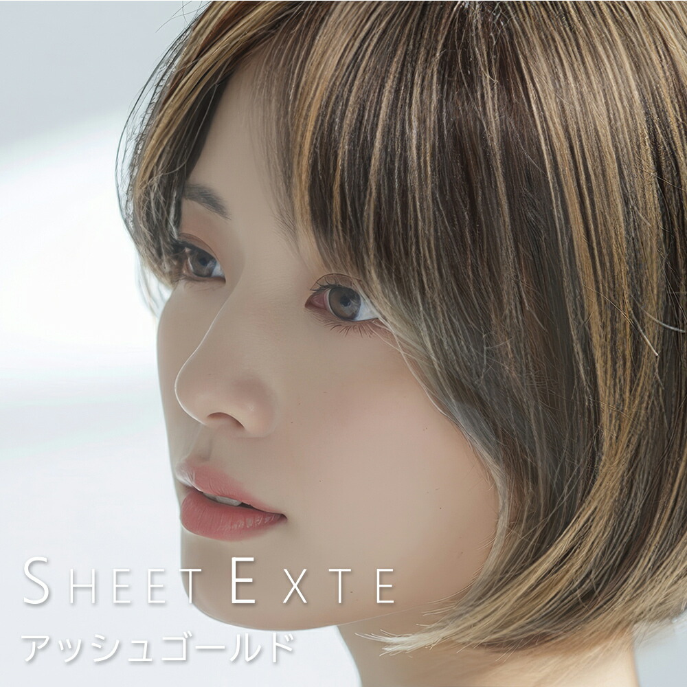 楽天市場】シートエクステ アッシュゴールド 1枚 【送料無料(全国