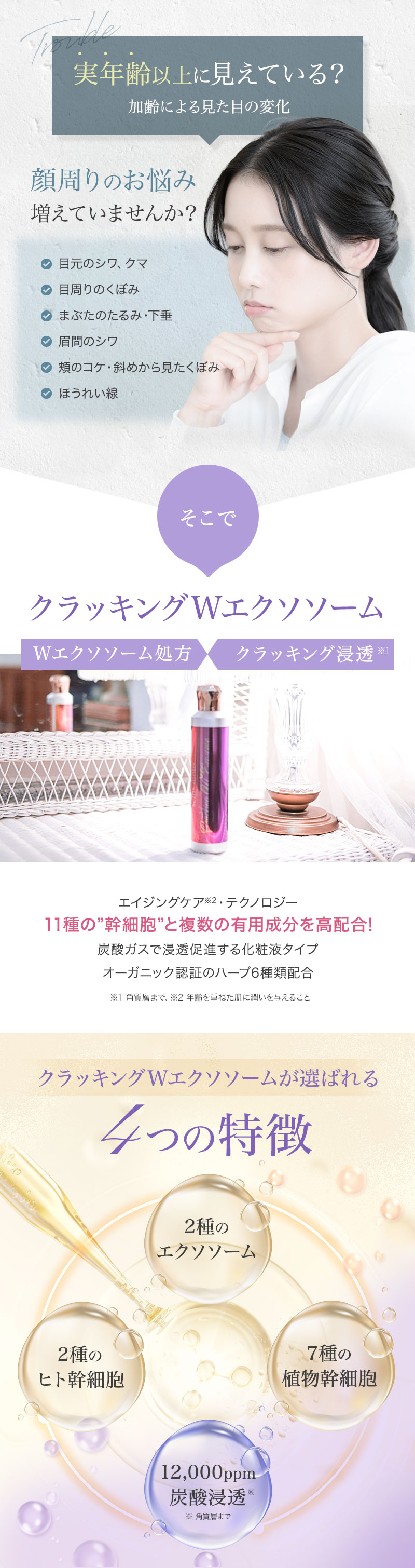 楽天市場】【正規販売店/送料無料】セインムー クラッキング W