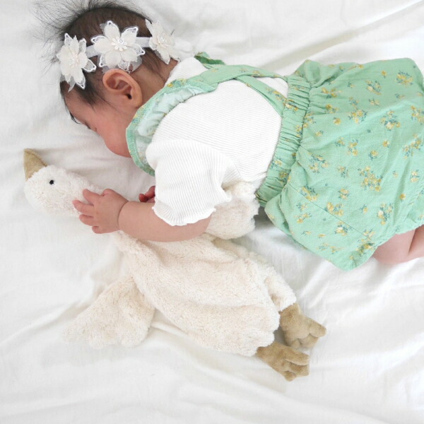 楽天市場】【SENGER Naturwelt-ゼンガーナチュウェルト】グース