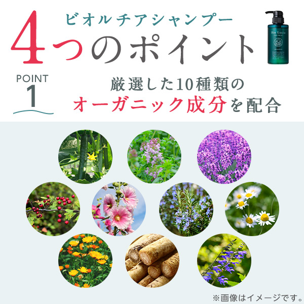 楽天市場】公式 Bio Lucia ビオルチア シャンプー 1本×300mL