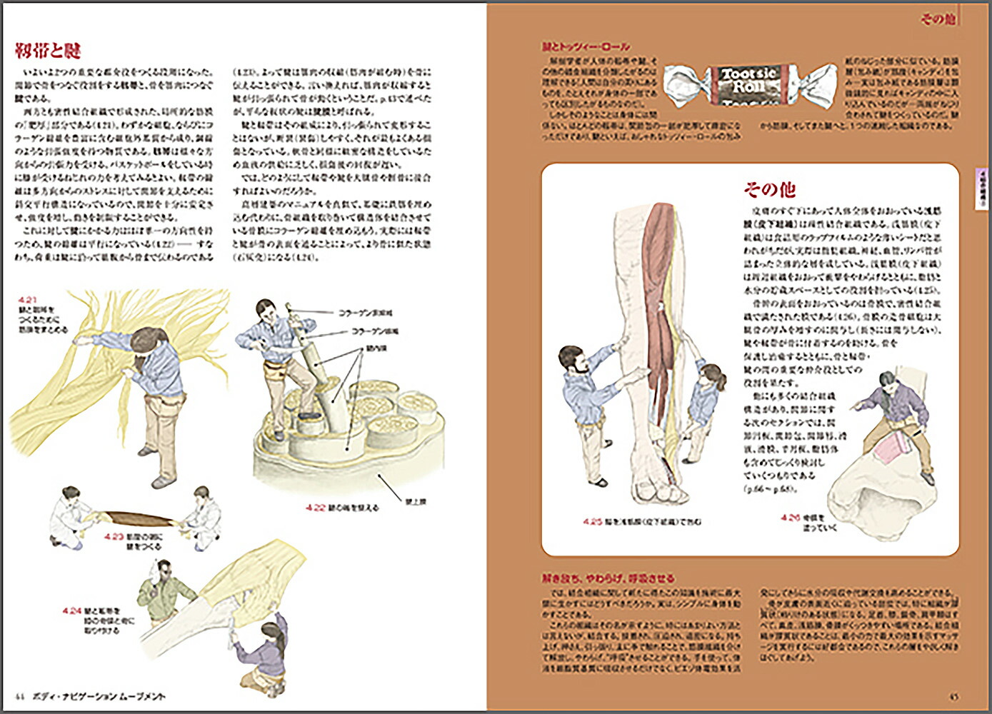 楽天ブックス: ボディ・ナビゲーション ムーブメント - ー筋肉と骨と