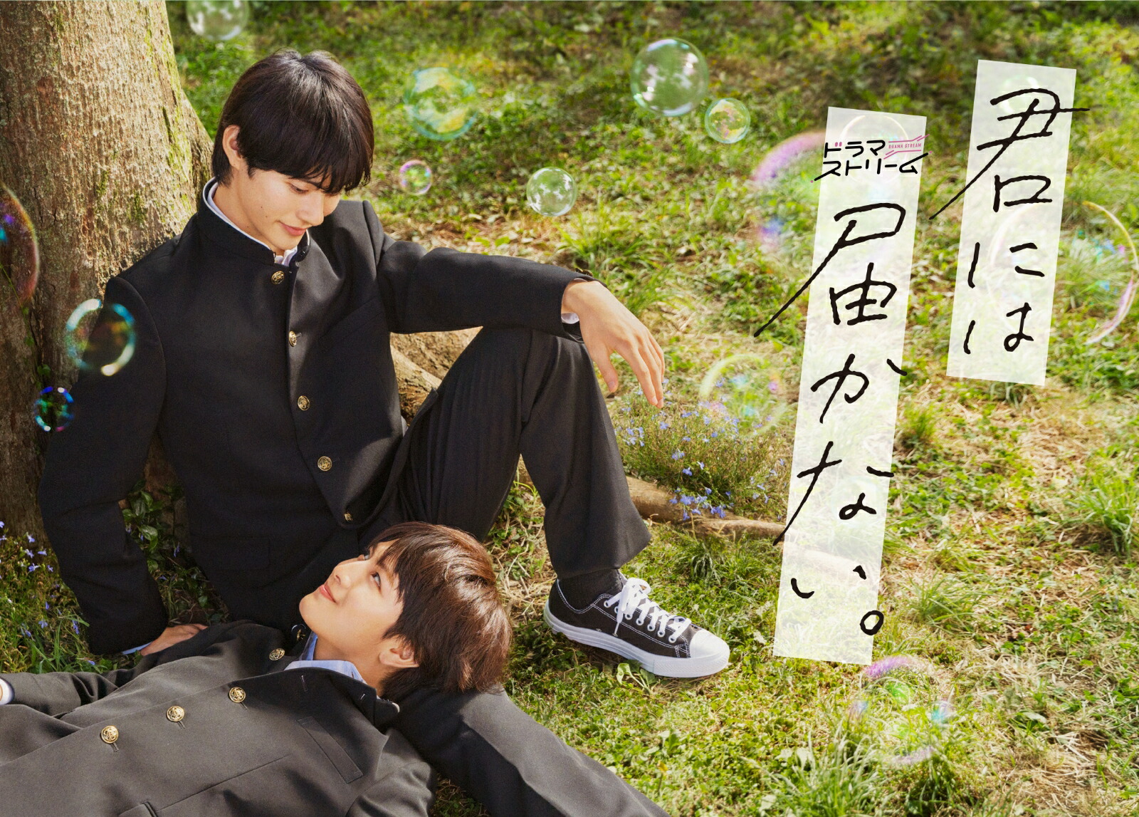 楽天ブックス: 君には届かない。 Blu-ray BOX【Blu-ray】 - 前田拳太郎