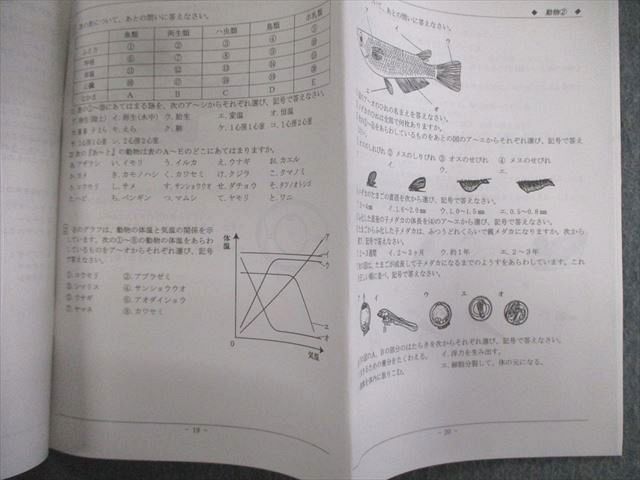 楽天市場】希学園 小6 ベーシックPコース 理科 暗記の完成I/II 【計2