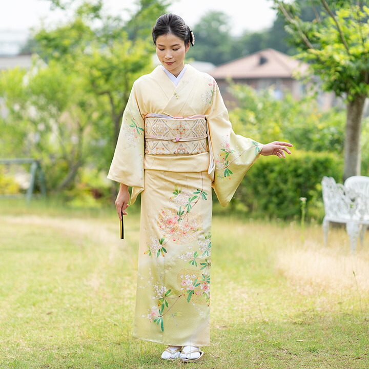楽天市場】【レンタル】高級正絹 訪問着 フルセットレンタル 訪問着