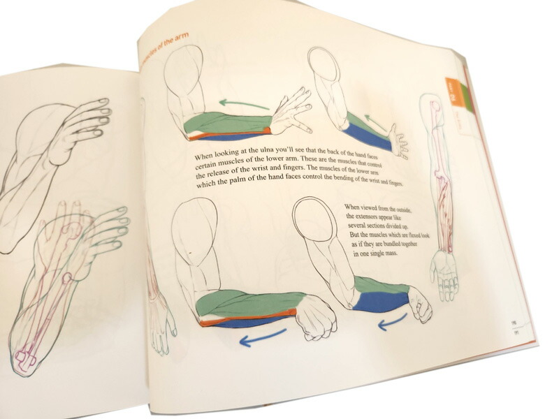 楽天市場】【韓国語/英語/選択】 キムラッキの線画 ドローイング Vol.1