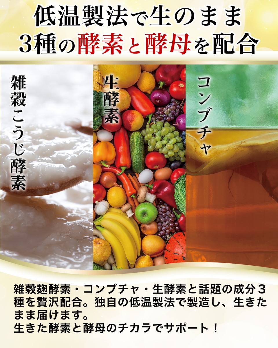 楽天市場】腸活革命 腸活 腸内 コンブチャ 乳酸菌 フローラ