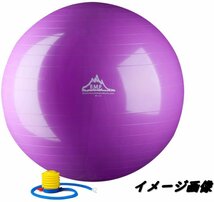 楽天市場】テクノジム バランス ボールの通販