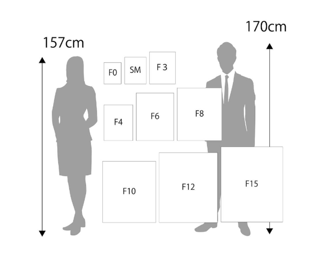 楽天市場】F10号 キャンバス付きアクリルボックス(530×455mm) お