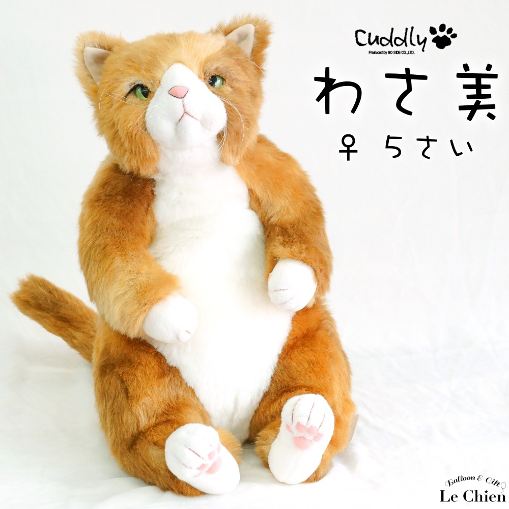 楽天市場】ぬいぐるみ 猫 【わさ美Wasabi】Cuddly カドリー）こだわり