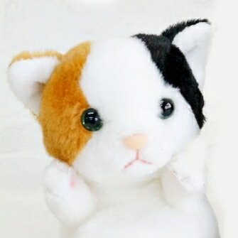 楽天市場】ぬいぐるみ 猫 リアル サバトラ ハチワレ ねこのぬいぐるみ