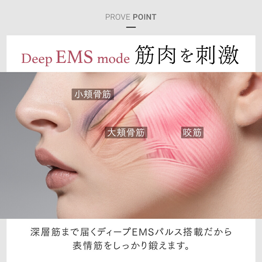 楽天市場】【公式｜スーパーSALE先着500名 15%OFFクーポン+P10倍