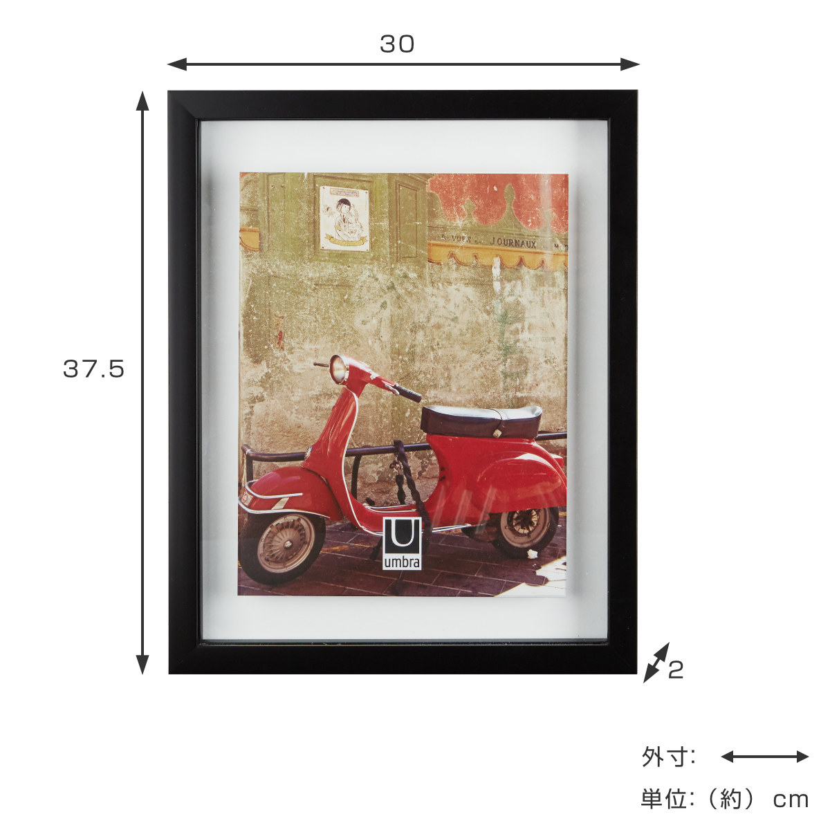 楽天市場】umbra ポスターフレーム スモール （ ポスターパネル アート