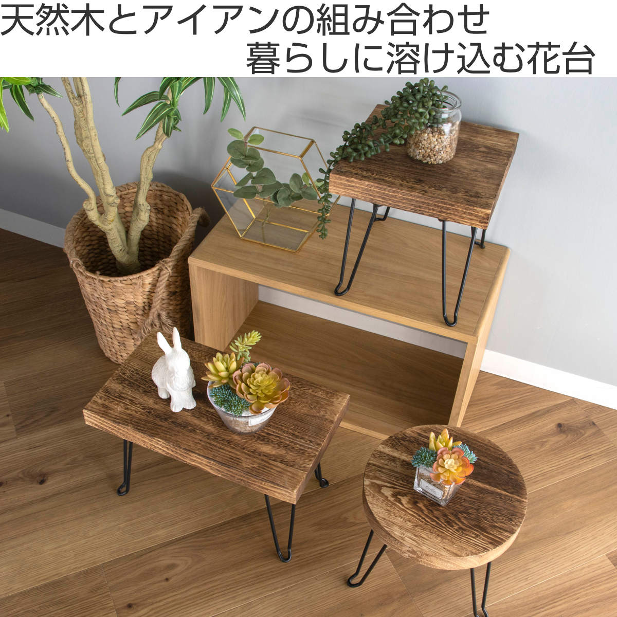 楽天市場】花台 プランタースタンド ピエニ ラウンドスタンド 木製 丸