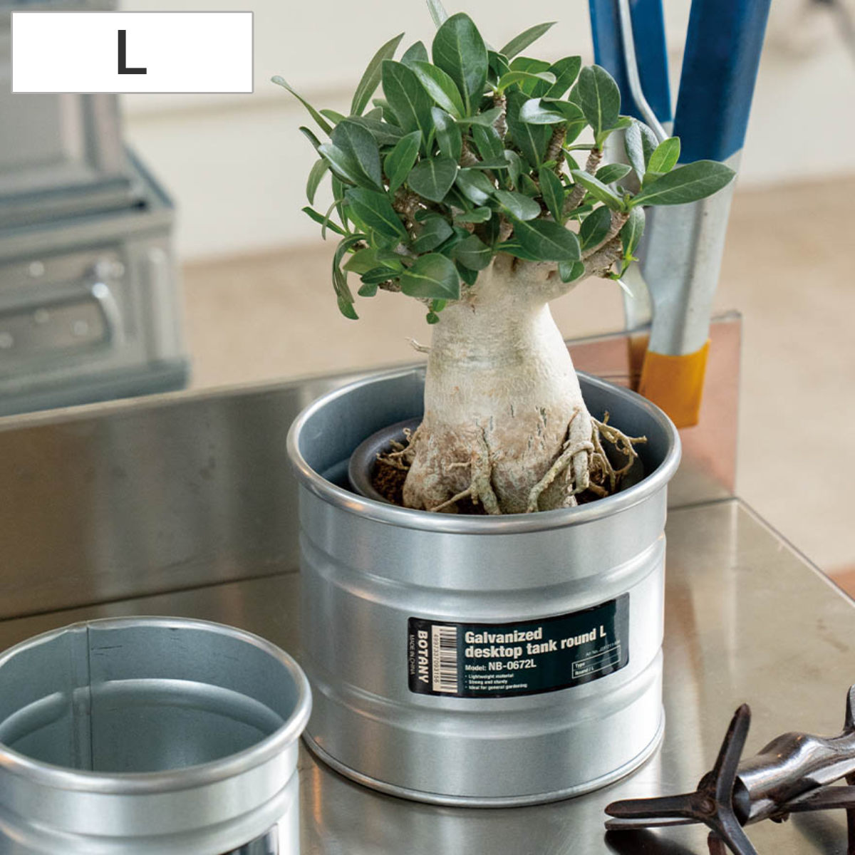 プランター ドラム缶」の人気商品一覧 | 安い商品を通販サイトから探す