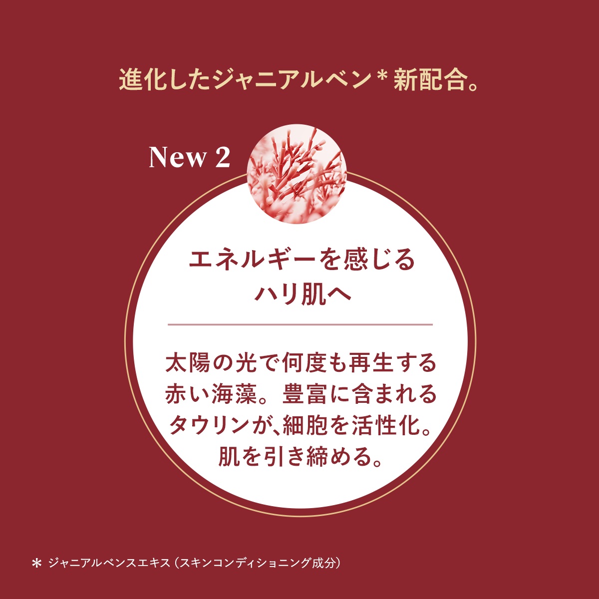 楽天市場】【公式】ロクシタン L'OCCITANE イモーテル ハーモニー