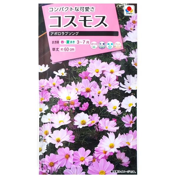 楽天市場】【タキイ種苗】コスモス アポロラブソング（40粒）【定形