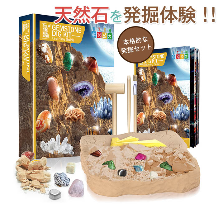 楽天市場】【送料無料】発掘 おもちゃ 宝石 水晶 掘る 知育玩具 親子で