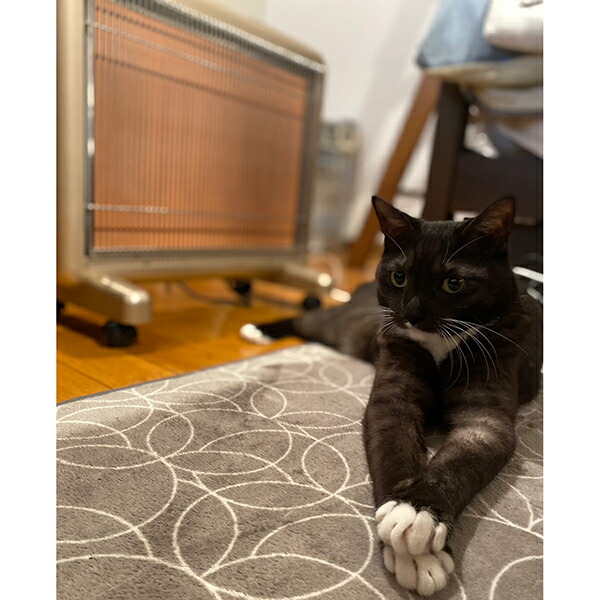 楽天市場】【ご愛顧感謝セール3900円OFF】サンルミエ・エクセラ7