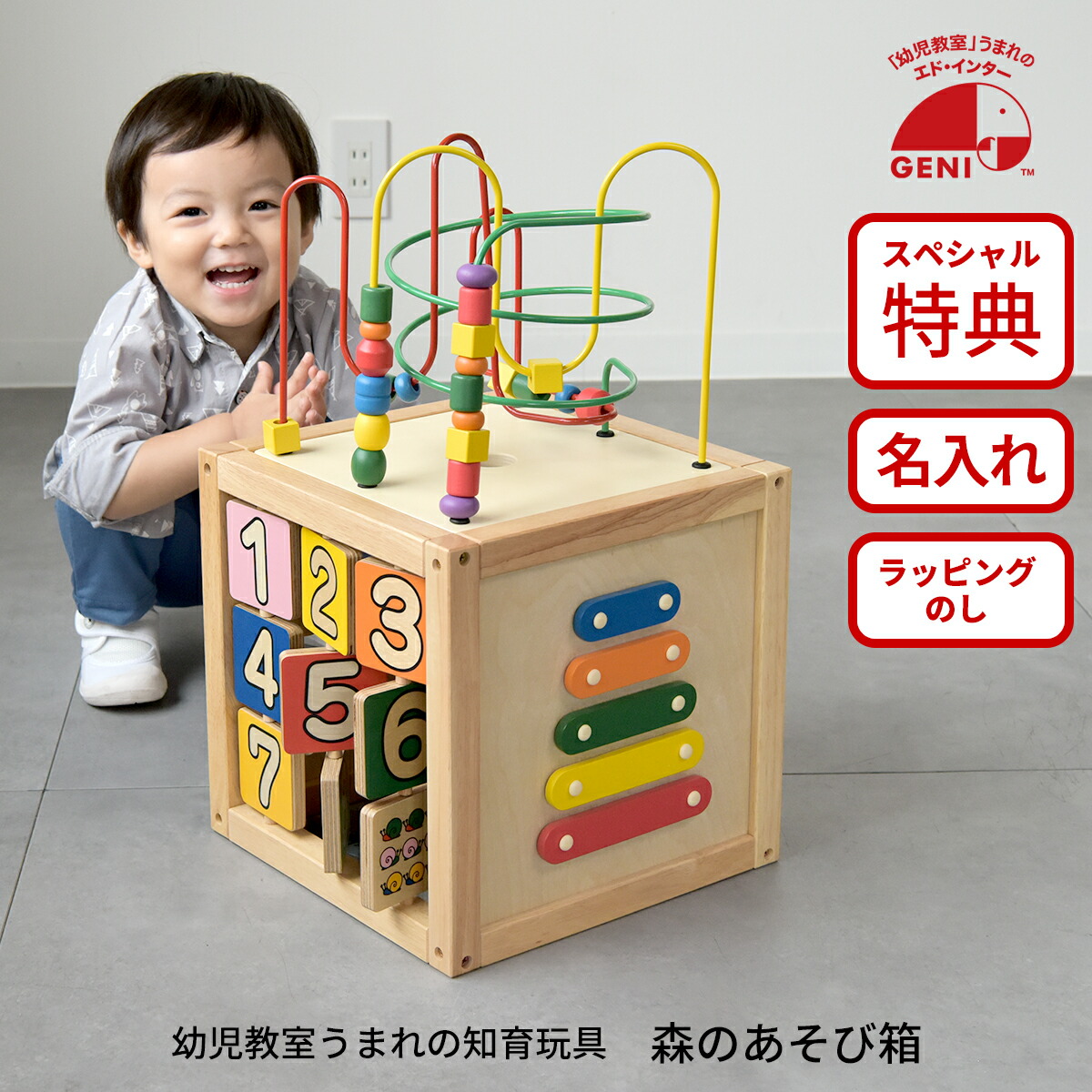 楽天市場】森のあそび箱 GENI（ジェニ） エドインター 806487 木製