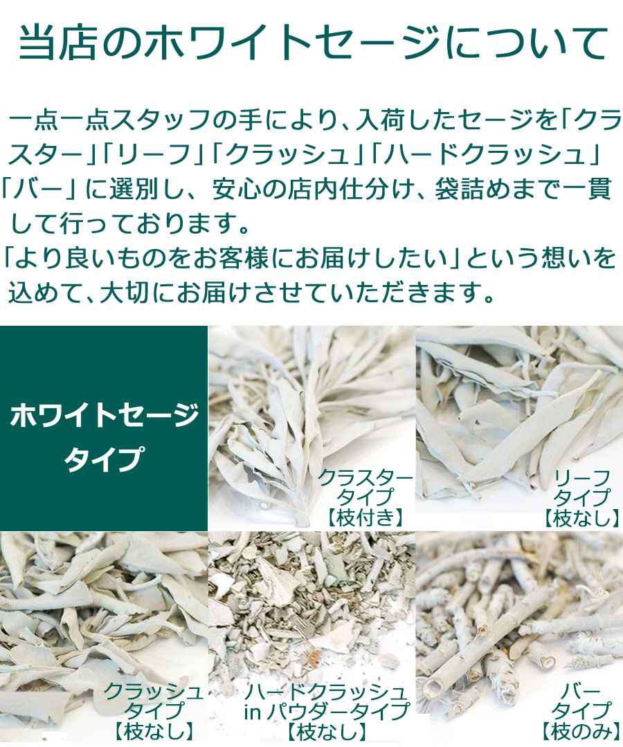 楽天市場】新鮮な香りのセージを輸入＼完全無農薬 採れたて セージ