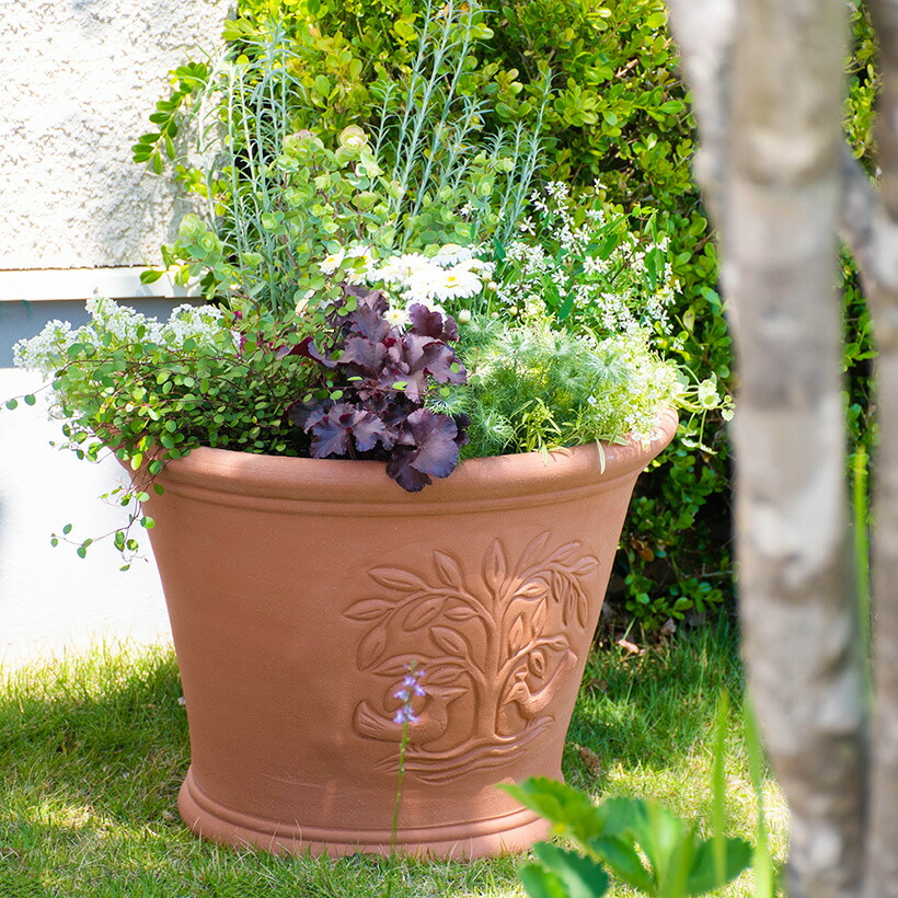 楽天市場】Whichford ウィッチフォード 植木鉢 大型 命の木 プランター