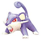 楽天市場】【中古】モンスターコレクション019 コラッタ : GoodLifeStore