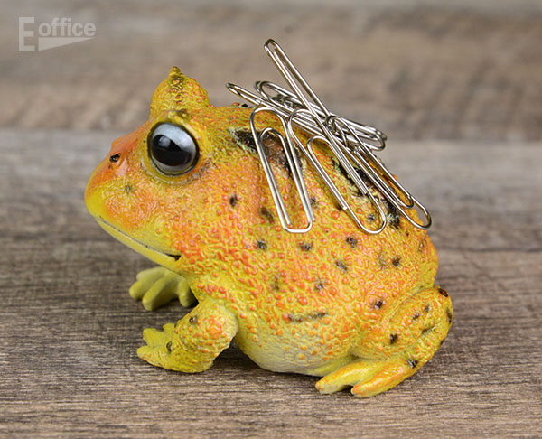 楽天市場】カエルマグネット magnet.inc 文房具 デザイン 雑貨