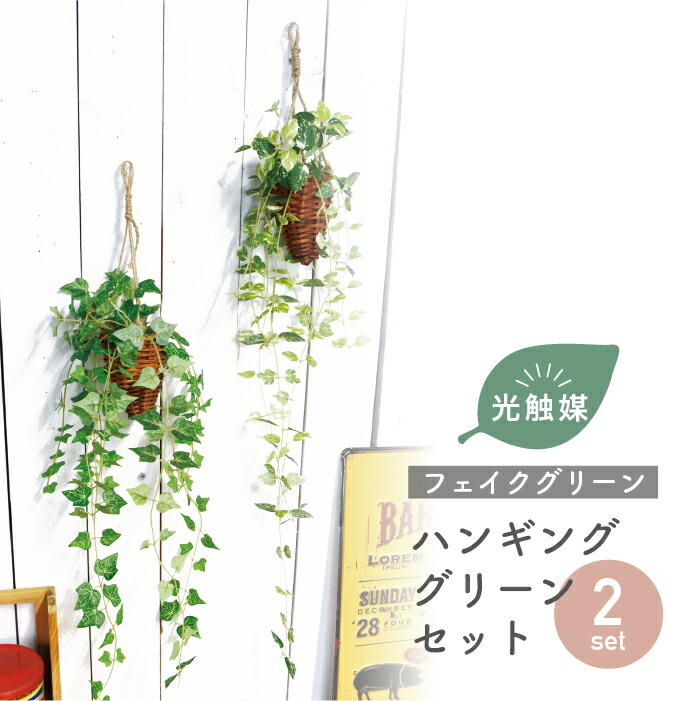 楽天市場】【2点セット】 抗菌 消臭 ハンギング インテリアグリーン