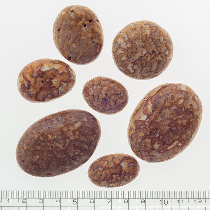 楽天市場】『厳選された虎柄の姫川薬石原石・詰め合わせ200グラム前後