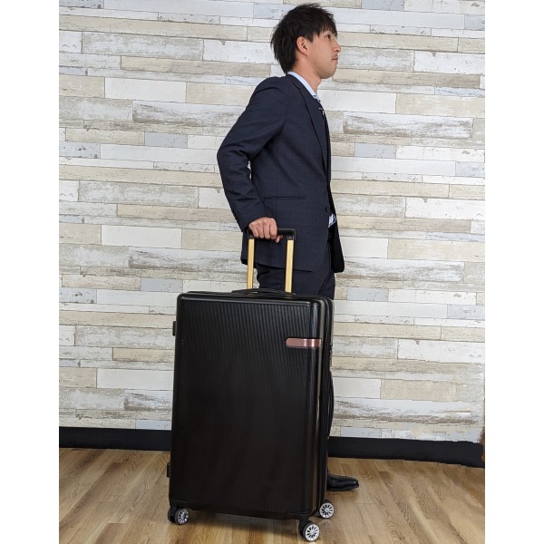 JAL 日本航空 純正パイロットケース 鞄/カバン(旧ロゴ/使用済み