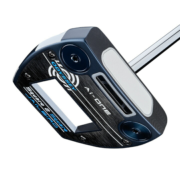 楽天市場】右用 2024 オデッセイ Ai-ONE Square 2 Square JAILBIRD