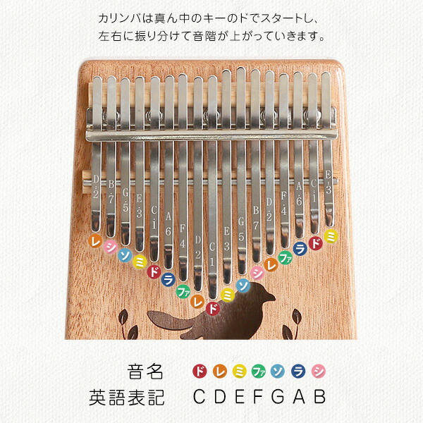 楽天市場】指で弾くピアノ カリンバ初心者セット 絵柄付きタイプ 親指
